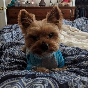 Meet your Posher, Maria